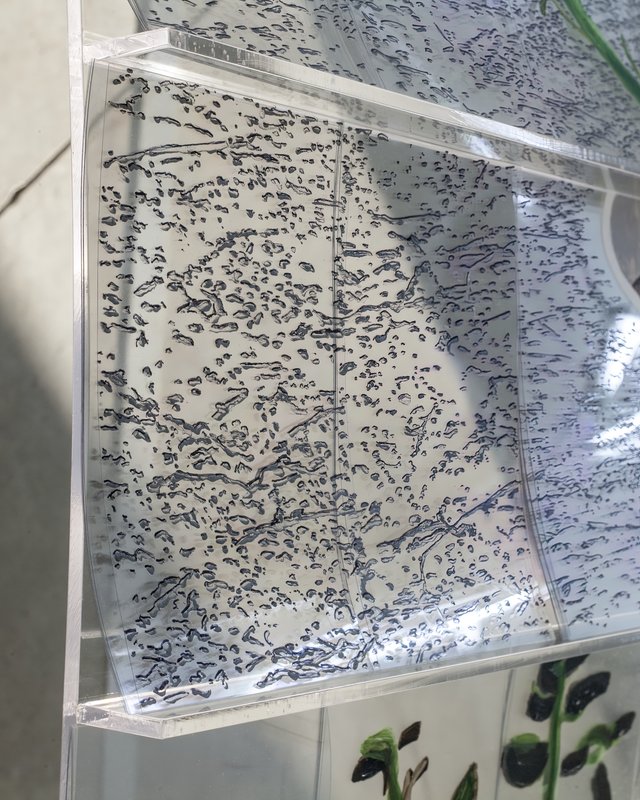 20150226 Alex Fischer 1 7 and 6000 O'Born Contemporary 27 VII (6000) documentation